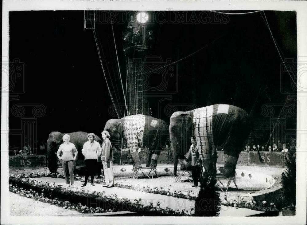 1959 Press Photo Elephant Fashion Show Billy Smart Circus Black Heath - Historic Images