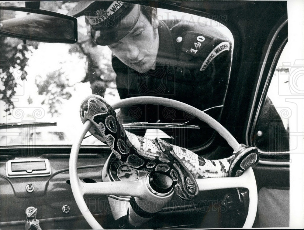 1971 Traffic Officer Observes Snake Barry Hawes Vehicle - Historic Images
