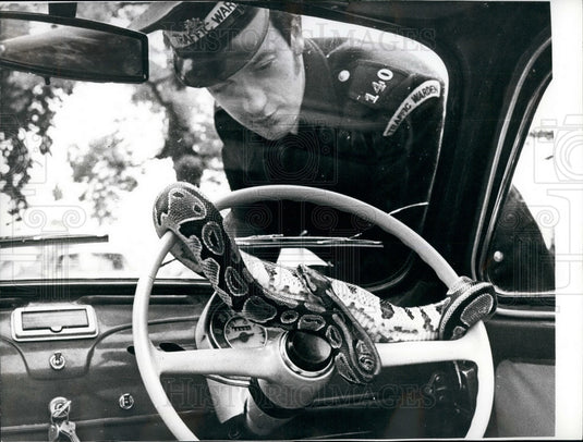 1971 Traffic Officer Observes Snake Barry Hawes Vehicle - Historic Images
