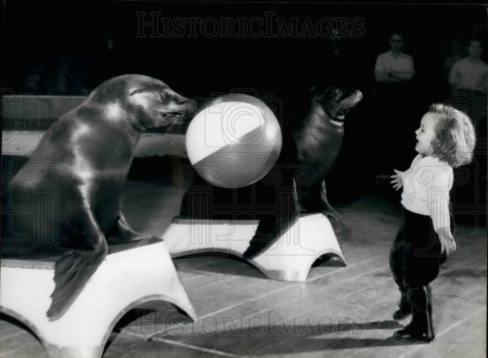 Press Photo Little girl Bertha and two sea lions - KSB25607 - Historic Images