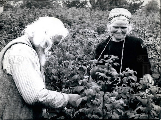 Press Photo Dad Timofei, Sister Natascha, Berries, Oberwiesenfeld - Historic Images