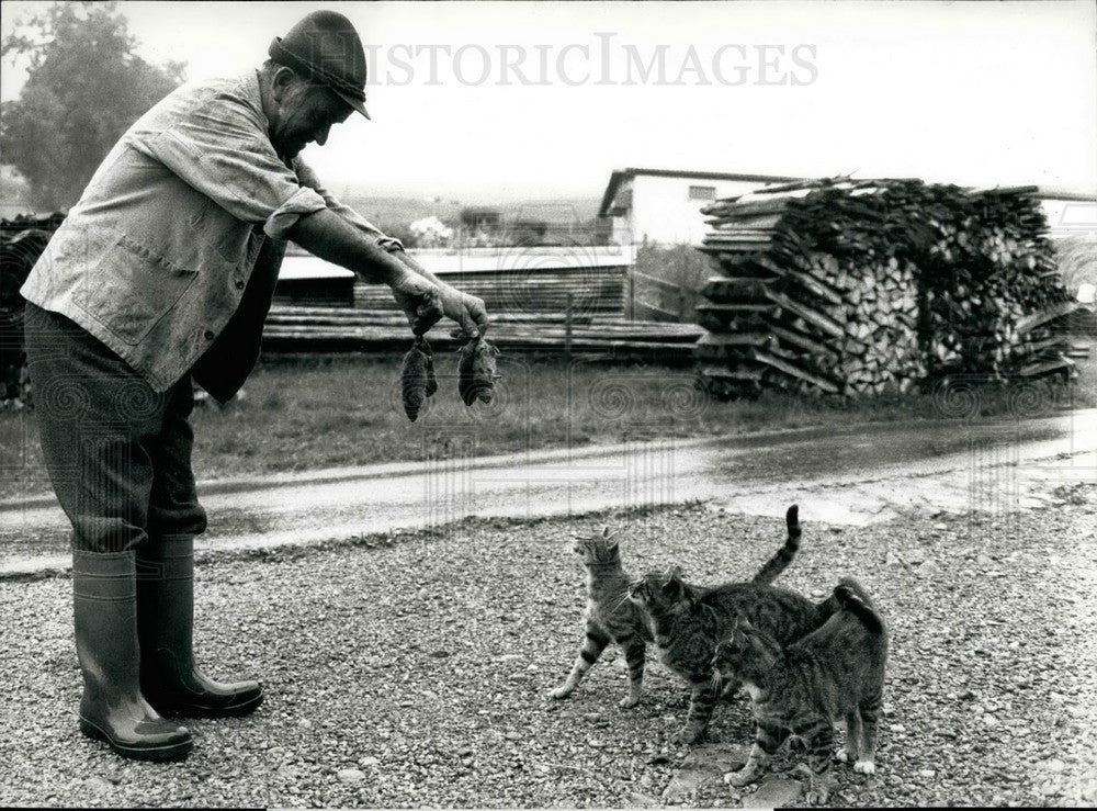 1990 Press Photo Swiss peasant feeds dead mouses to his three cats - KSB28371 - Historic Images