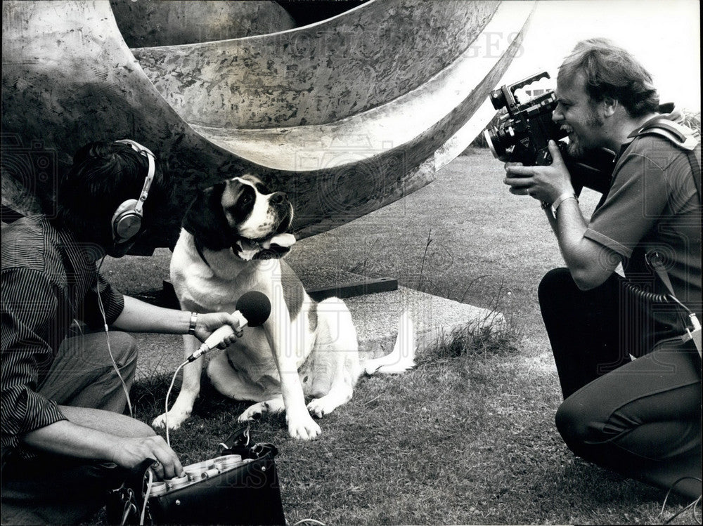 1973 Press Photo A Saint Bernard dog and photographers - KSB28455-Historic Images