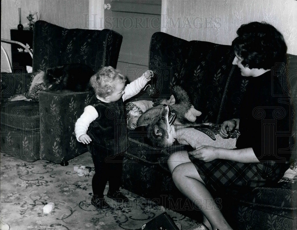 Press Photo Mrs. Price ,daughter Vanessa and pet fox - Historic Images