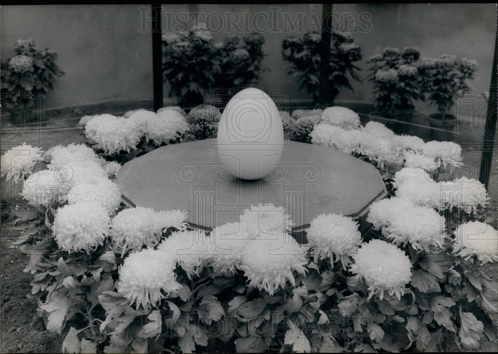 1968, The annual chrysanthemums show in Paris - KSB29801 - Historic Images