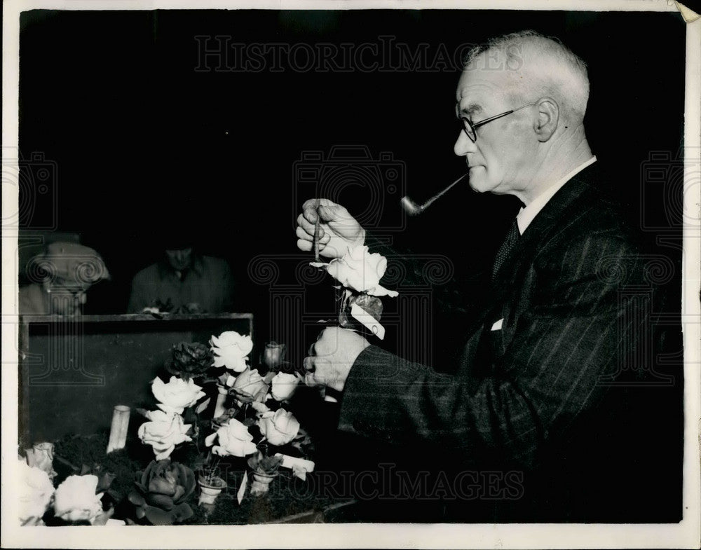 1952, Mr. W.J. Northfield of Cambridge at flower show - KSB29817 - Historic Images