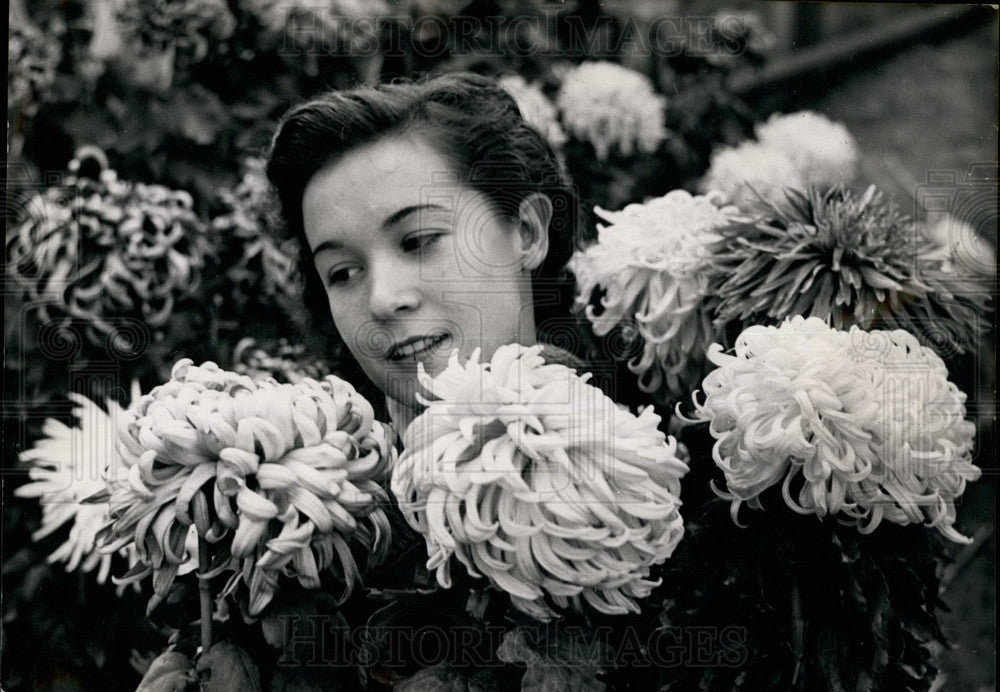 1952, Autumn Flowers Display At Auteuil - KSB29821 - Historic Images