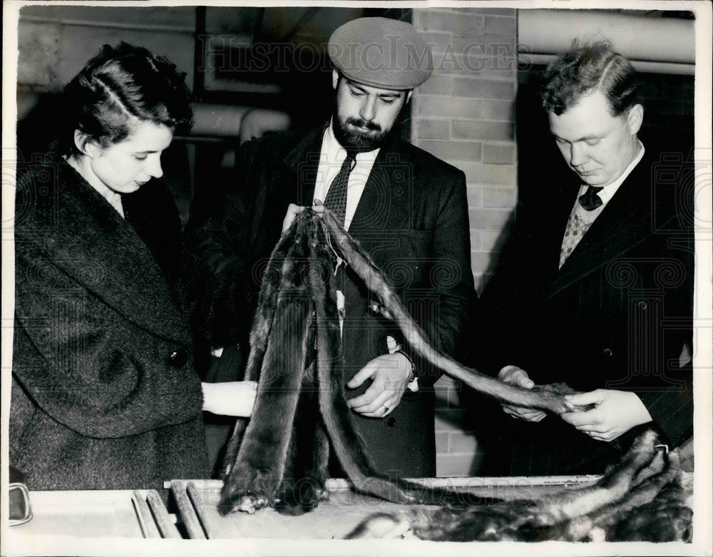1954 Press Photo Fur Breeders Association's Annual Show - KSB29827 - Historic Images
