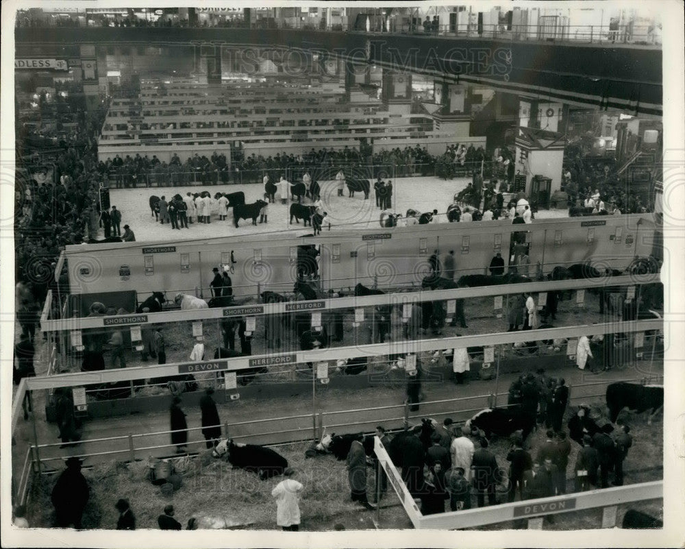 Press Photo Overhead view of Smithfield Cattle Show at Earl's Court - KSB29925 - Historic Images