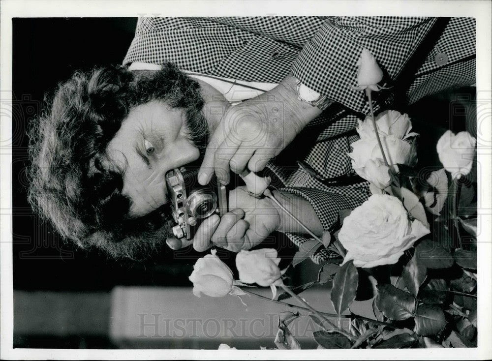 1956 Press Photo Autumn Show Of The National Rose Society - KSB30999 - Historic Images