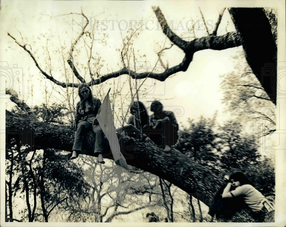 Press Photo People Sitting In Tree - KSB31211-Historic Images