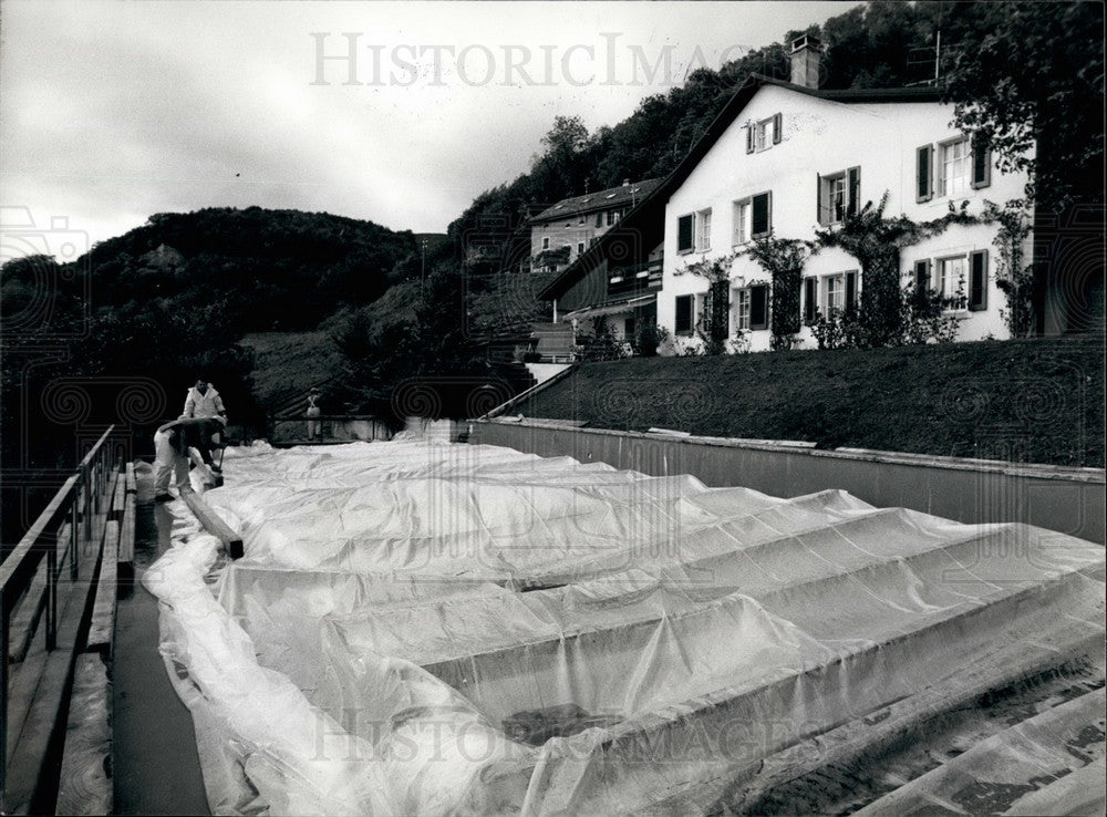 Press Photo Swimming Pool Full of Wine - KSB31703-Historic Images