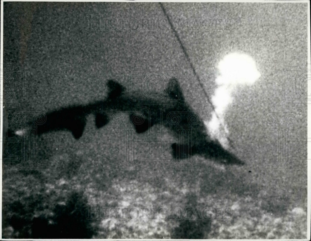 Press Photo Charge From 12 Gauge Shotgun Explodes Against 9ft. Nurse Shark - Historic Images