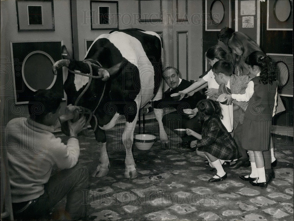 1964 Jacques Estererel, The Famous Paris Dressmaker & Milk Cow-Historic Images