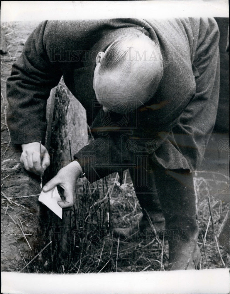 1950, Detective Supt Baker looks for clues to girl's murder - Historic Images