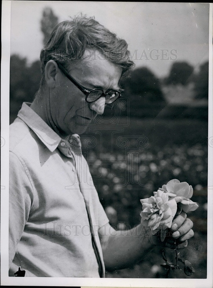 Press Photo Alfred Wheatcroft with his Blue Rose - KSB34305 - Historic Images