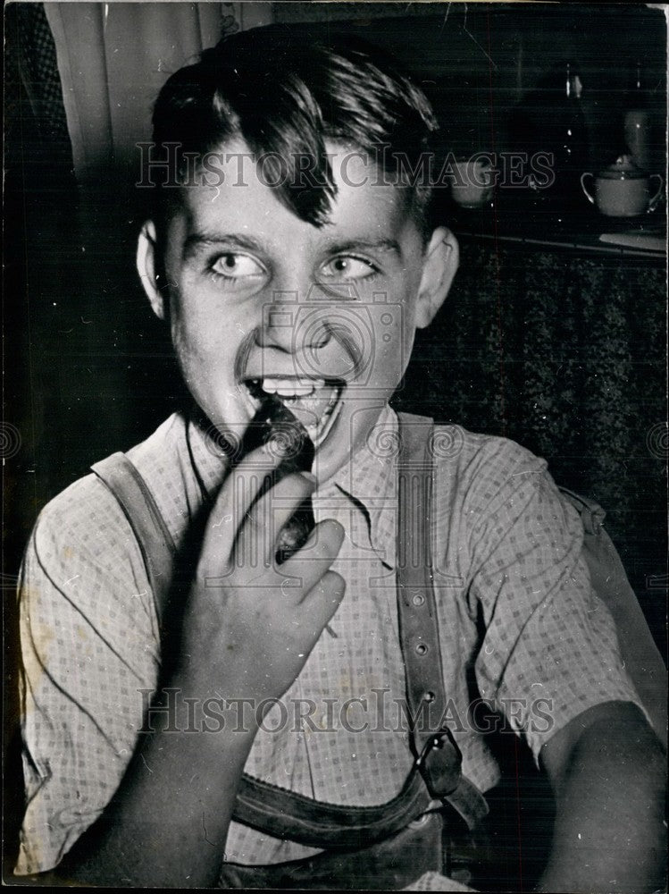 1952 Ivan from Yugoslavia, US Court of Appeals, Frankfort, Germany - Historic Images