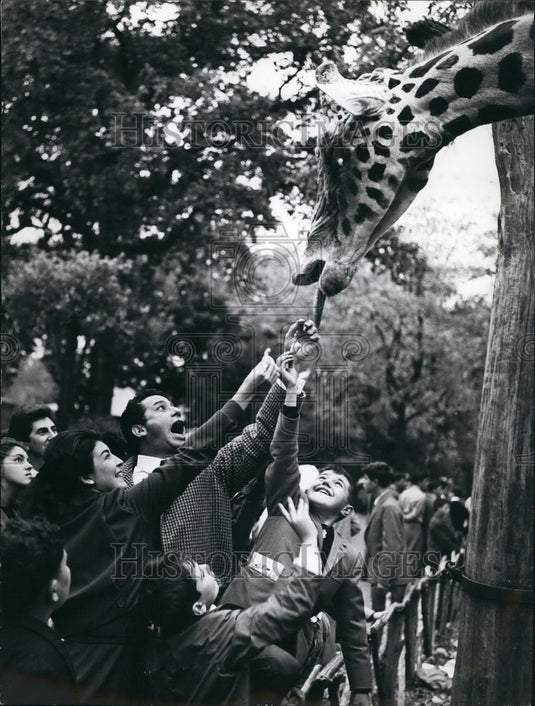 Press Photo Frank Wolff actor wife Maureen Gavin zoo Rome - Historic Images