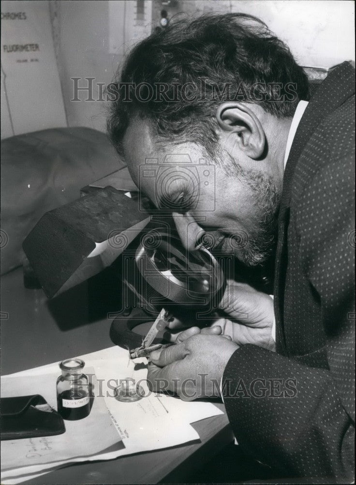  Said Sadjadi, Locust Expert - Historic Images