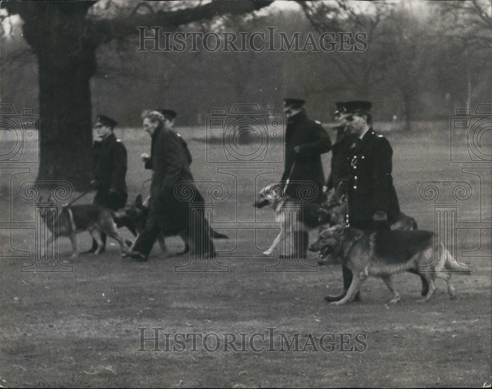 1969, Policeman and dogs Hunt for Mrs. Muriel Mckay - KSB44219 - Historic Images