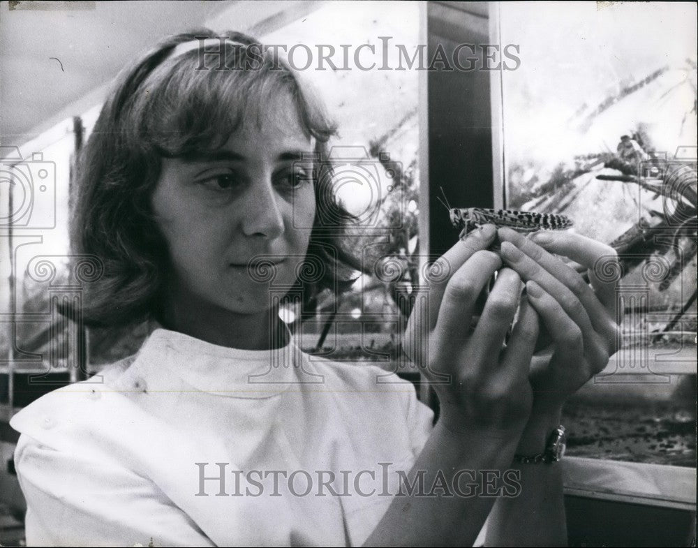 1964 Press Photo Anti-Locust Research Center London - KSB45141-Historic Images