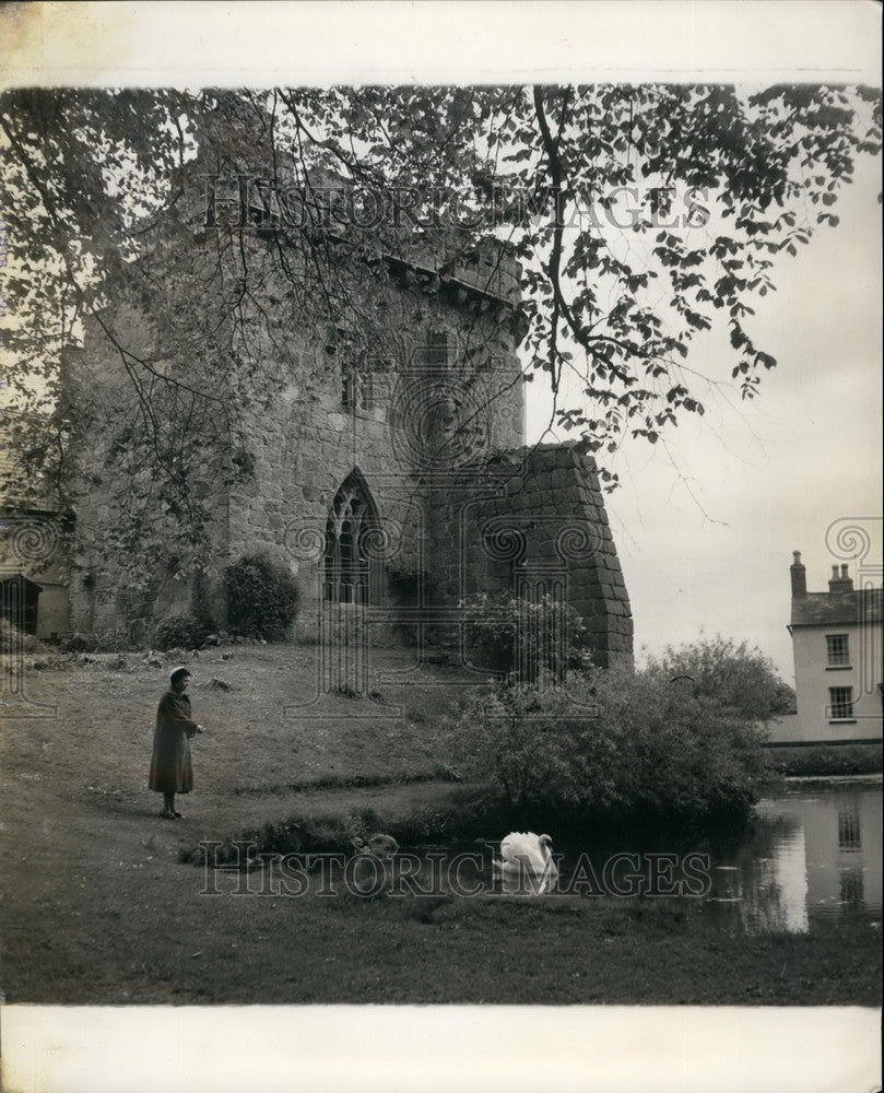 Press Photo Mrs. Jones Castle Tower moat family swans swim garden - Historic Images