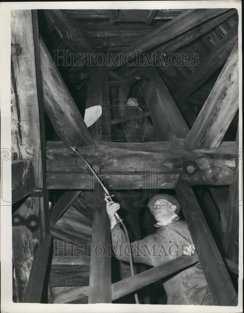 1955, Belfry Tower of St. Martin Within Ludgate,search for beetles - Historic Images