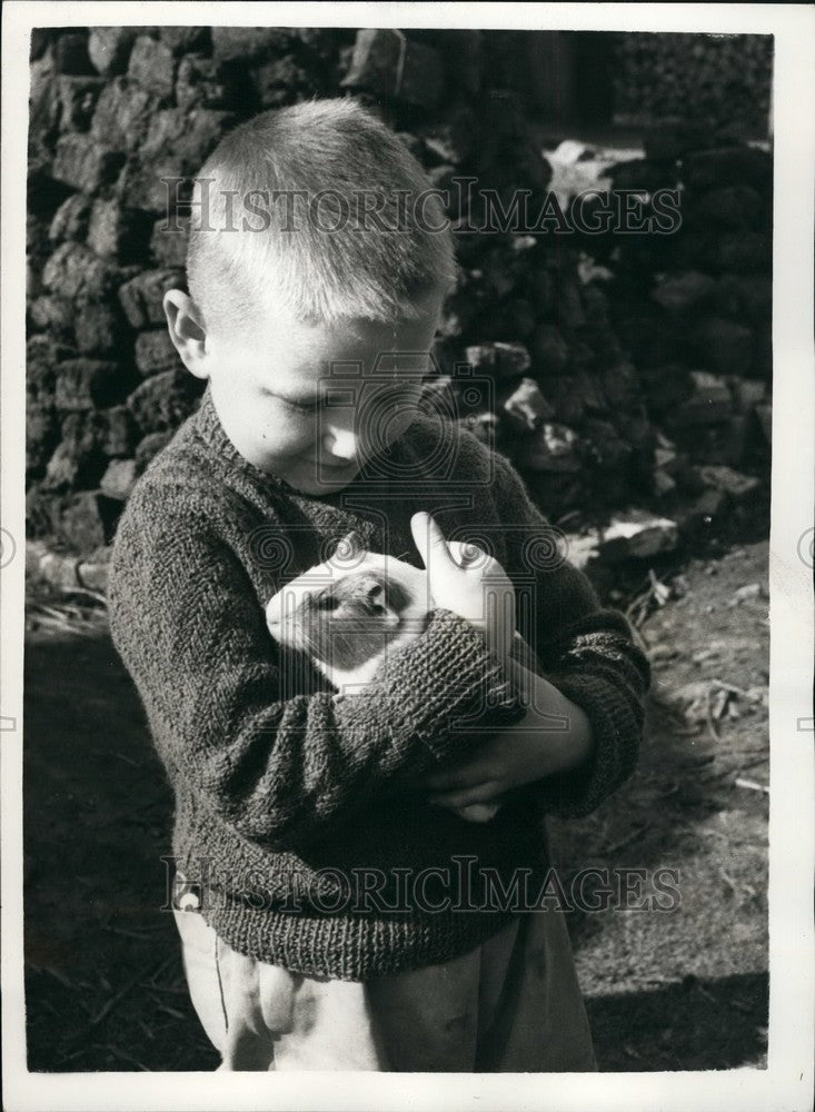 1956 uinea pig, 6-year old Zenon Lochovski father has TB - Historic Images