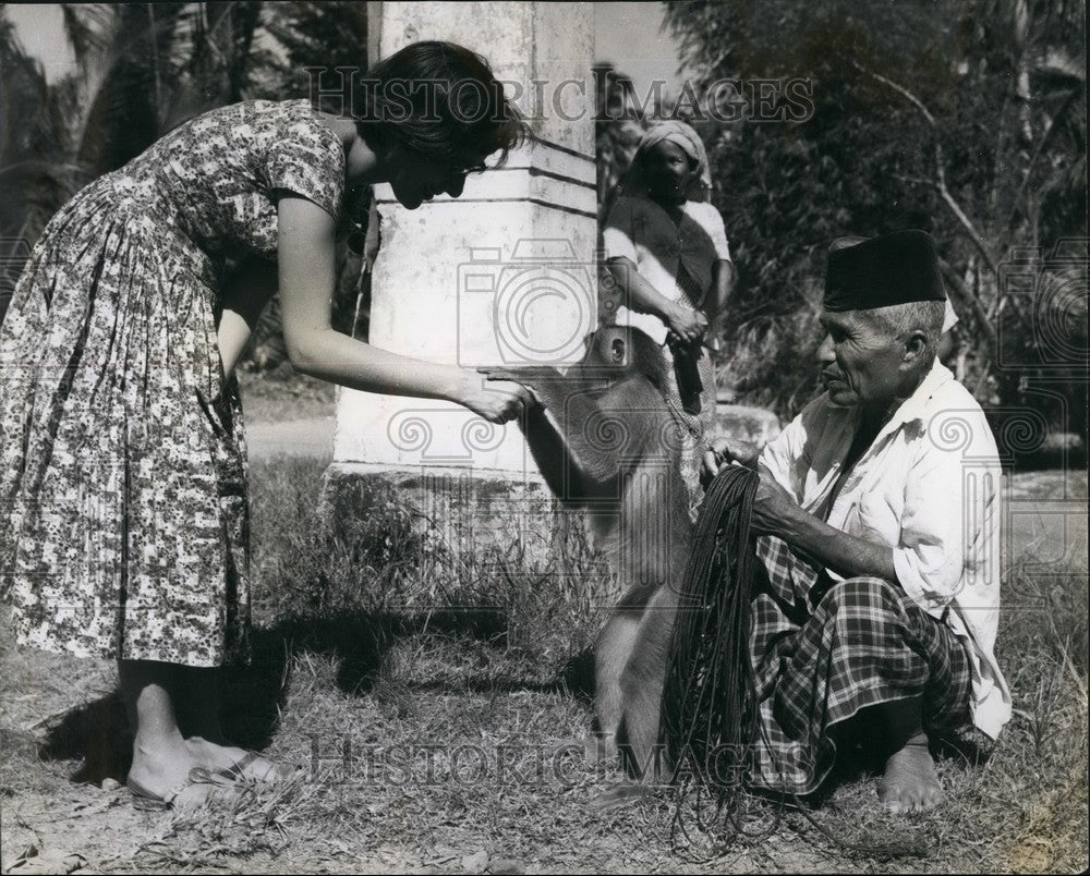 Press Photo Madame Monkey A Coconut Picking Monkey Meets English Girl - Historic Images