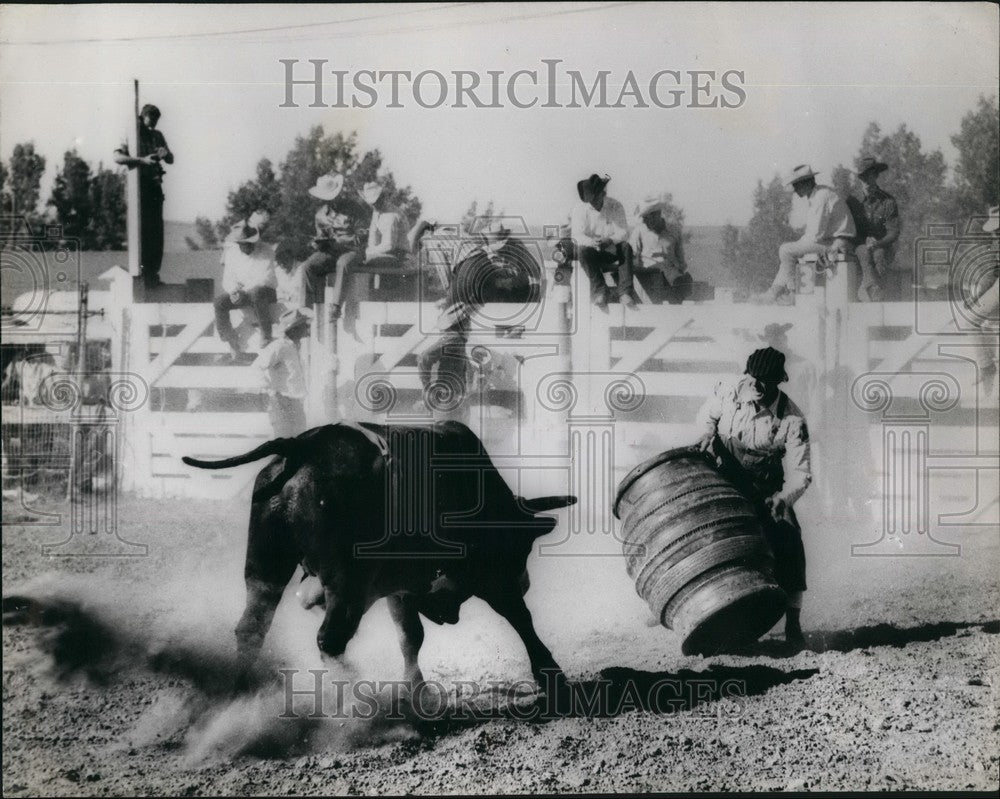 1962 The Bull Sees Barrel: Roll out the barrel, cowboy - Historic Images