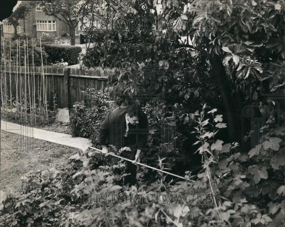 1967 Detective seen searching the back garden for the murder weapon. - Historic Images