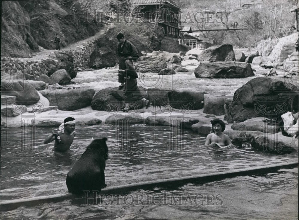 Press Photo all "bathing bears (bares)" in this natural hot water bathing pool-Historic Images