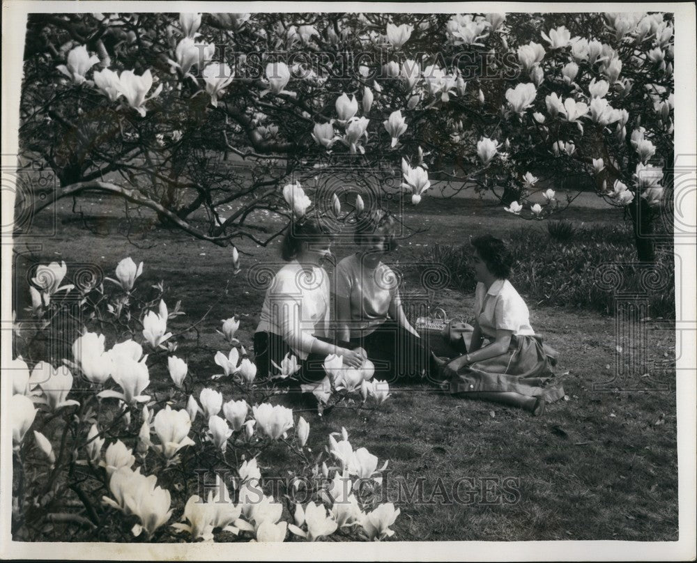 Press Photo Spring in the Air in Kew Gardens,London - KSB58435-Historic Images