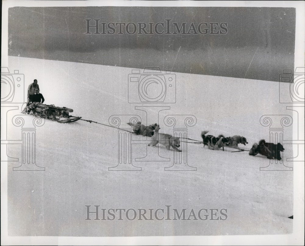 1957, Duke Of Edinburgh Visits Falkland Islands takes sledge ride - Historic Images