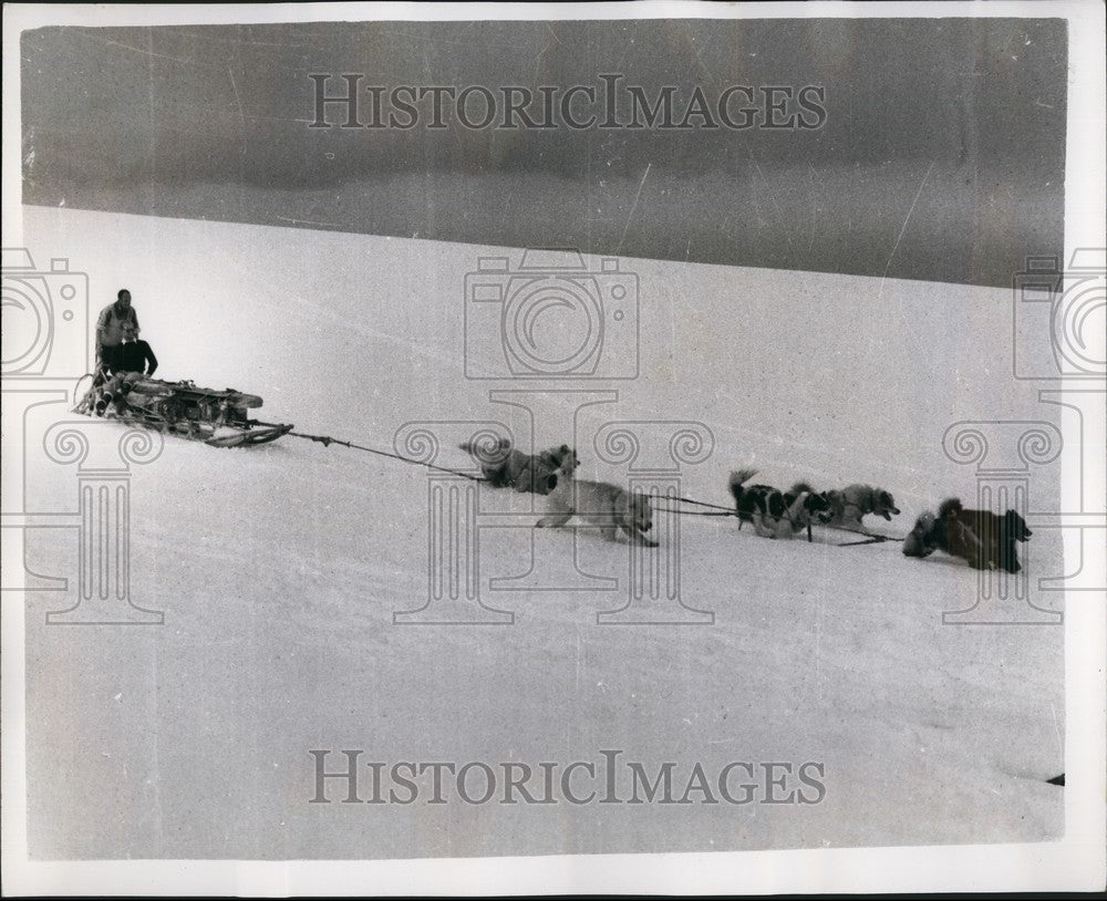 1957 Press Photo Duke Of Edinburgh Visits Falkland Islands takes sledge ride - Historic Images