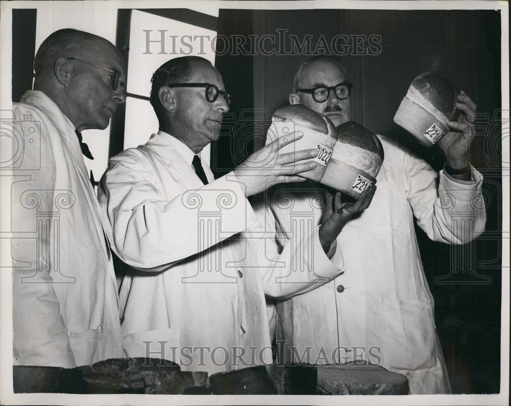 1953 British Baker's Exhibition at Royal Horticultural Hall - Historic Images