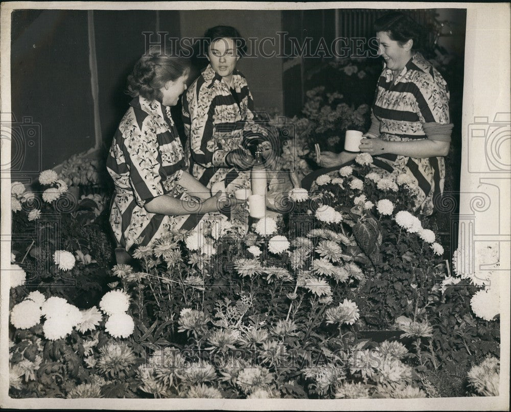 1952 Press Photo 30,000 Blooms Being Arranged Shoe & Leather Fair - Historic Images