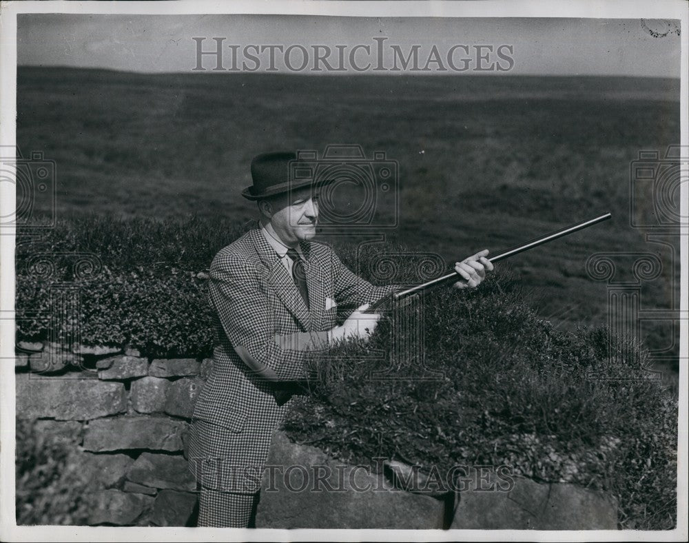 1953 Mr. R.A. Buttler, Chancellor of the Exchequer hunting grouse - Historic Images