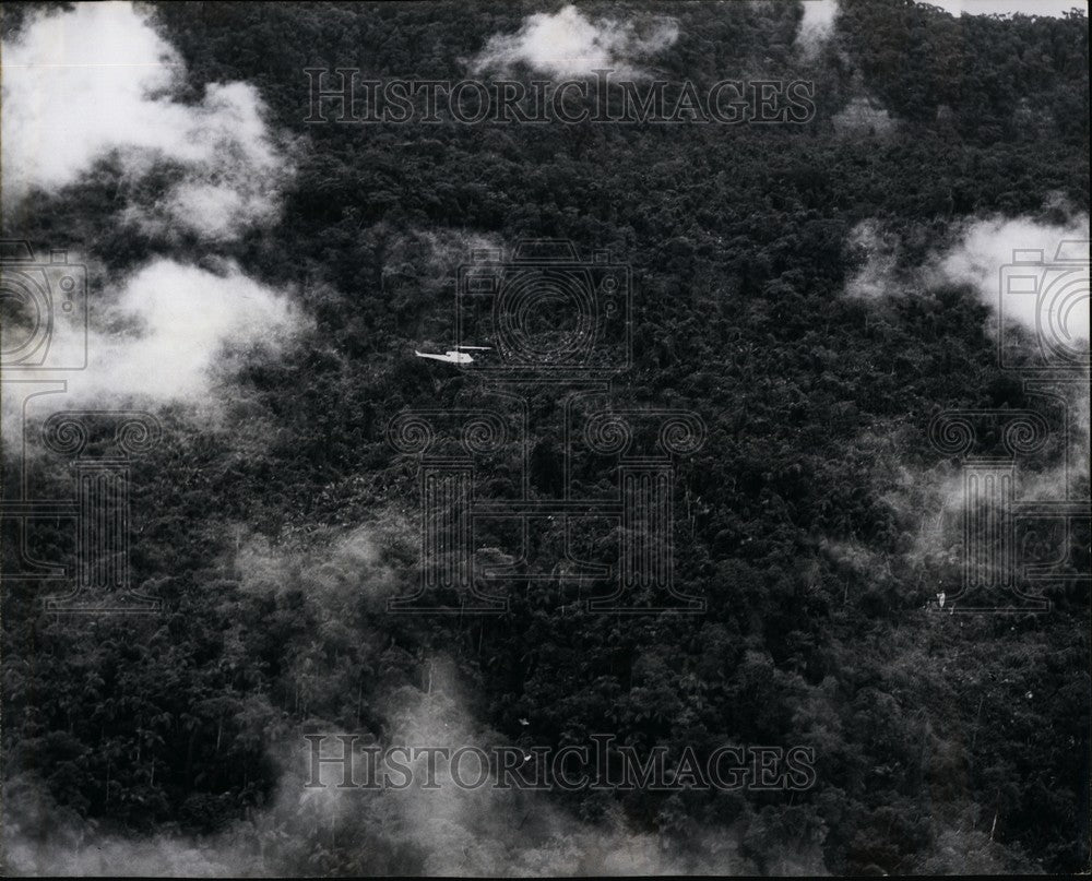 Press Photo Ecuadorian Oriental Forest - KSB60737-Historic Images