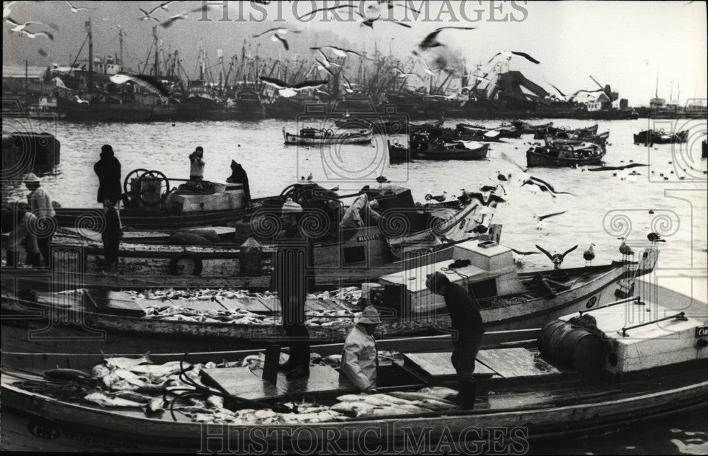 1970 Fishing in Chile - Historic Images