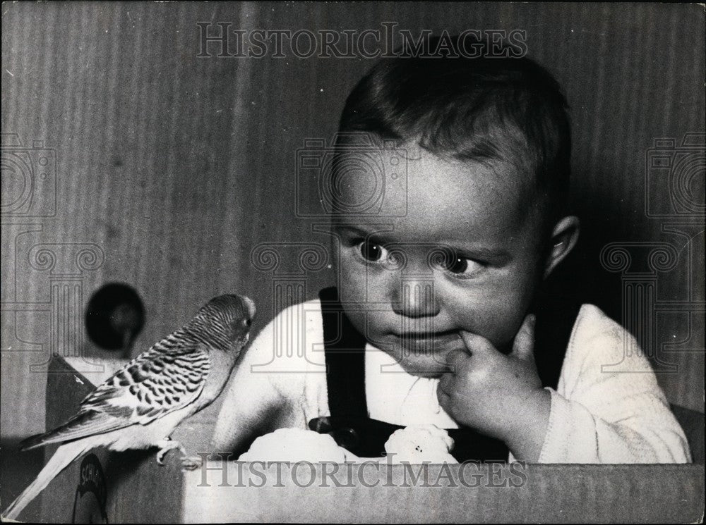 Press Photo Jerry Stoneham,sits in his cardboard box but is fascinated by Joey - Historic Images