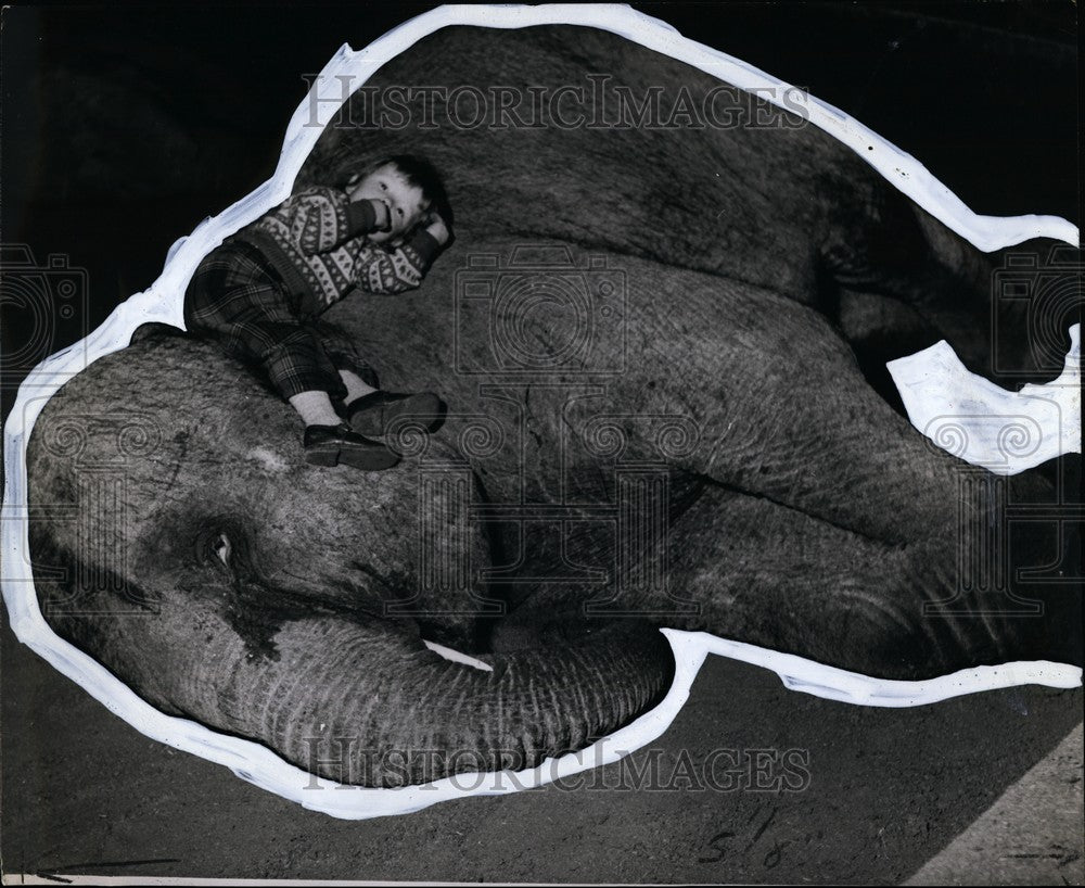 Press Photo Yvonne stretches out, thumb in mouth, on the soft warm neck of kam - Historic Images