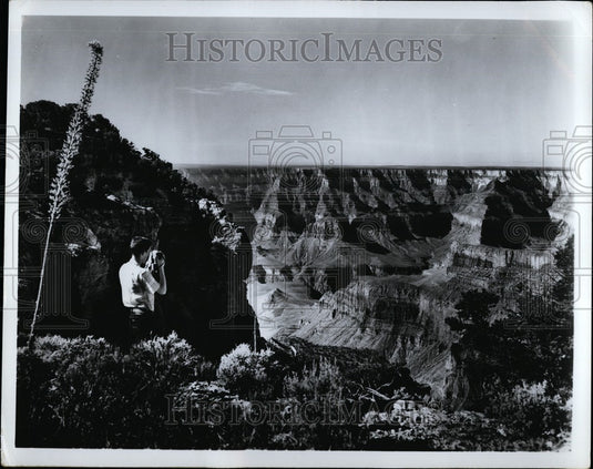 Press Photo Grand Canyon Arizona - KSB61589-Historic Images