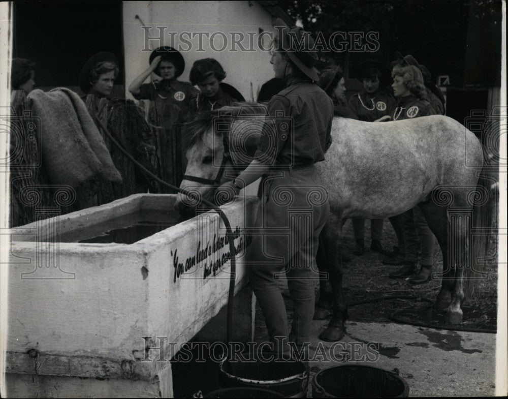 Press Photo You can lead a horse to water - KSB61739-Historic Images