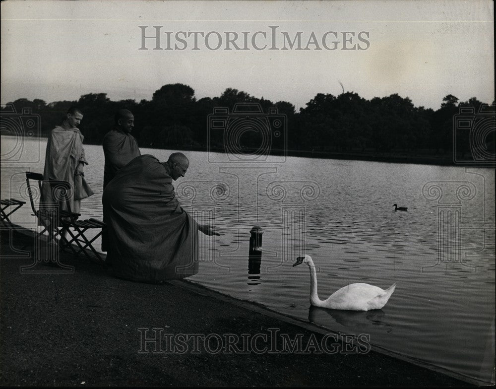 Press Photo English Budhist monk Kapilavaddho calls a swan to him - KSB61743 - Historic Images