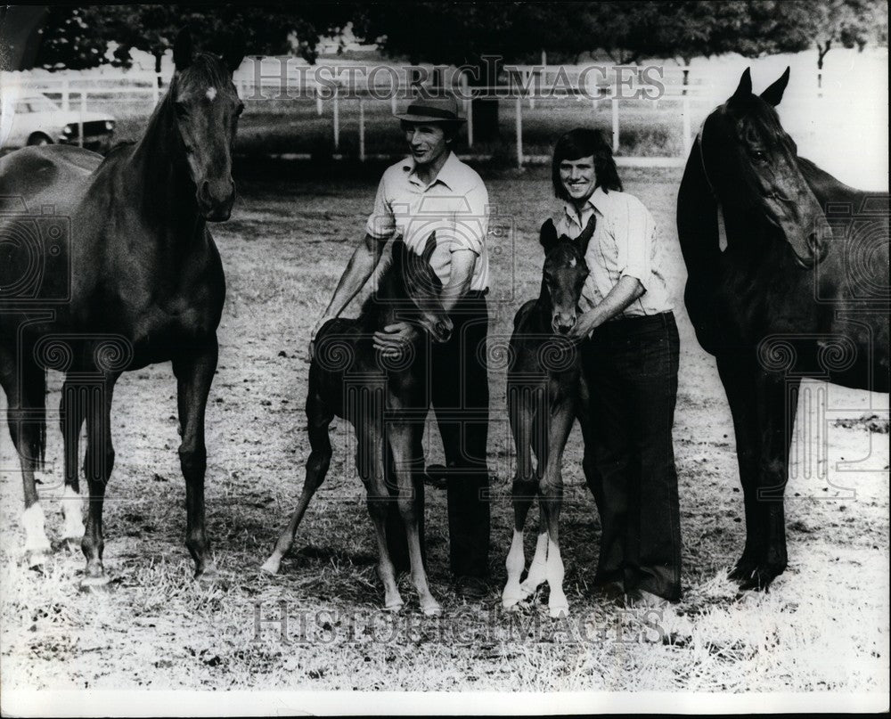 1970 Two Baby Horses With their Parents - Historic Images