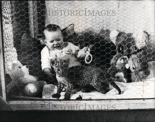Press Photo Infant and Tiger Leopard Cub - KSB61887 - Historic Images