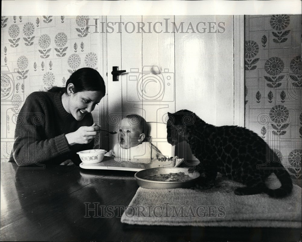 Press Photo Thoohix, Jaguar Cub - KSB61889-Historic Images