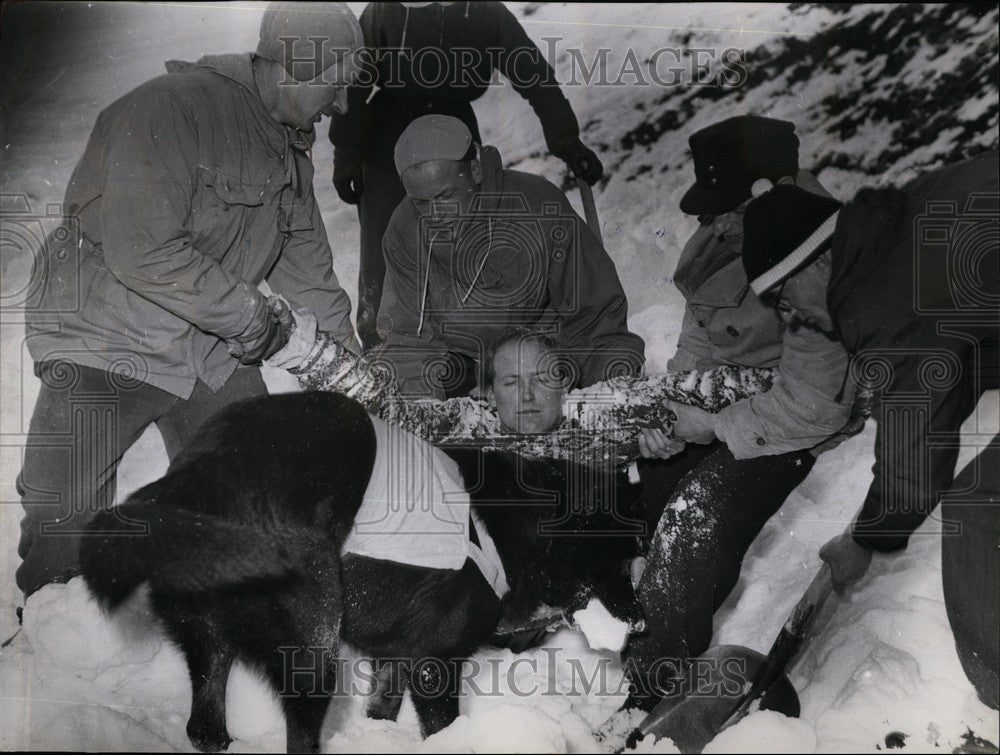 Press Photo Search &amp; rescue dog in training - KSB61943-Historic Images