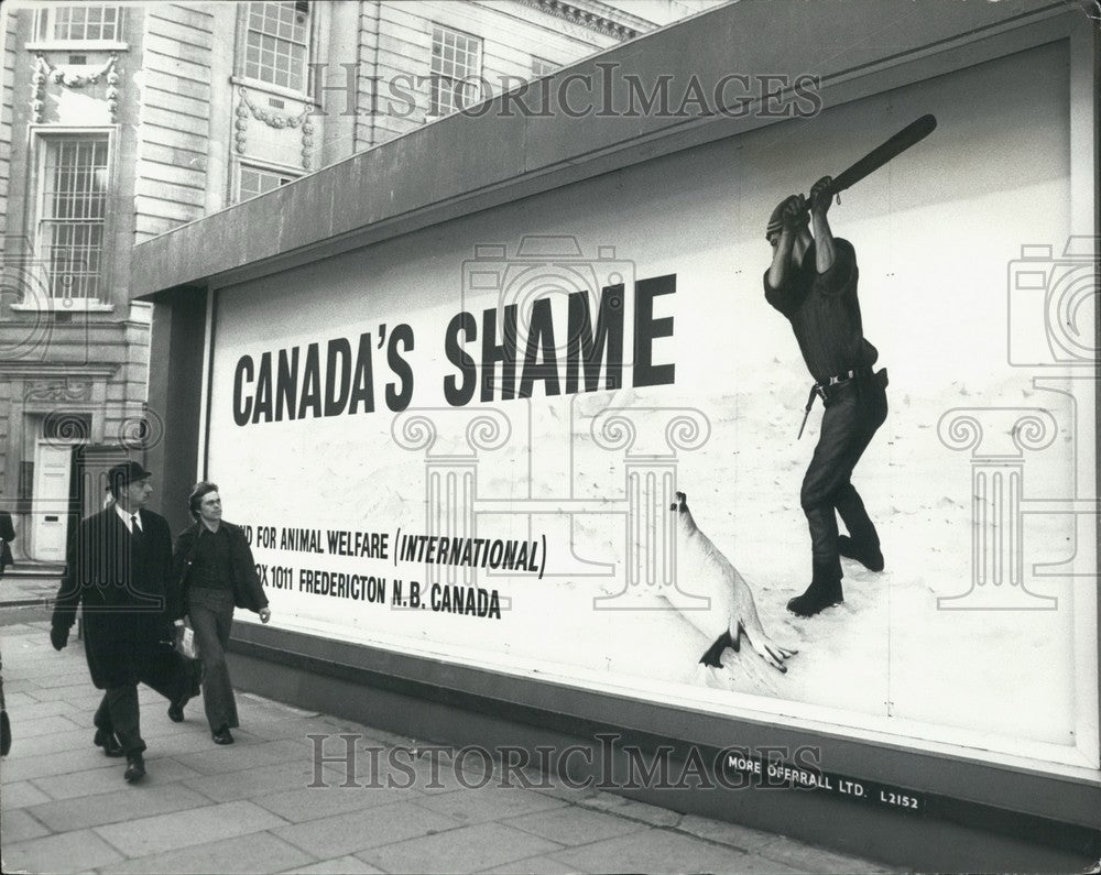 1977 "Canada's Shame' Poster Appears in London Killing Baby Seals - Historic Images